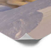 シロクマのウルーシュ・マリティムス遊は種をまく ポスター (角)