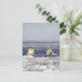 シロクマ遊のカブのパック氷 ポストカード (スタンド正面)