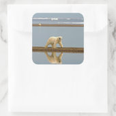 シロクマ スクエアシール (バッグ)