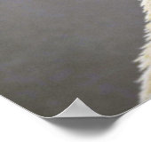 シロクマ ポスター (角)