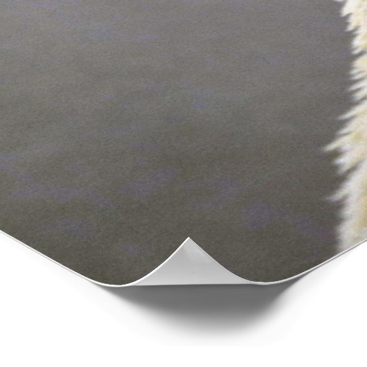 シロクマ ポスター (角)