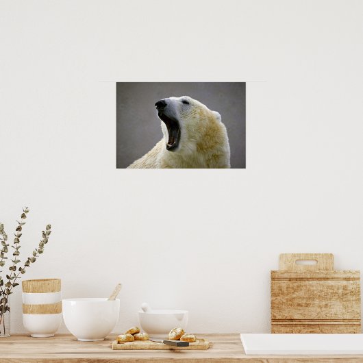 シロクマ ポスター (キッチン)