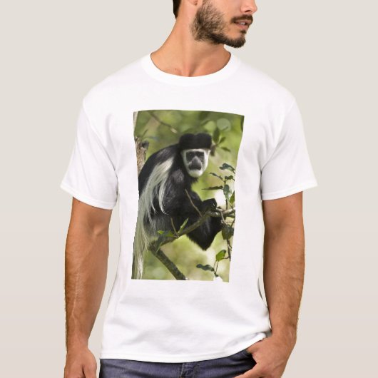 シロクロコロブス Tシャツ (正面)