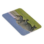 シロサイと遠くのフラミンゴ。 マグネット (右側)