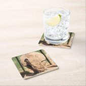 シロサイ スクエアペーパーコースター (インサイチュ)