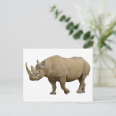 シロサイ ポストカード (スタンド正面)