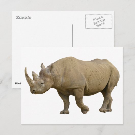 シロサイ ポストカード (正面/裏面)