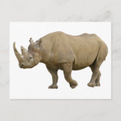 シロサイ ポストカード (正面)