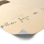 シロシベセミランサタマッシュルームイラストレーション ポスター (角)