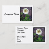 シロツメクサの花の名刺 名刺 (正面/裏面)