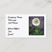 シロツメクサの花の名刺 名刺 (裏面)