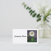 シロツメクサの花の名刺 名刺 (スタンド正面)