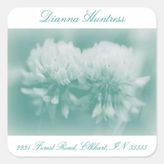 シロツメクサ スクエアシール (正面)