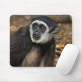シロテテナガザル (Hylobates Lar), Monkeyland マウスパッド (マウス)