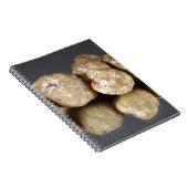 シロトリュフの塊茎のoligospermum ノートブック (右側)