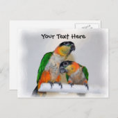 シロハラインコのオウムの組のカスタマイズ可能な郵便はがき ポストカード (正面/裏面)