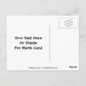 シロハラインコのオウムの組のカスタマイズ可能な郵便はがき ポストカード (裏面)