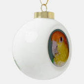 シロハラインコのオウムの陶磁器のクリスマスの球のオーナメント セラミックボールオーナメント (左)