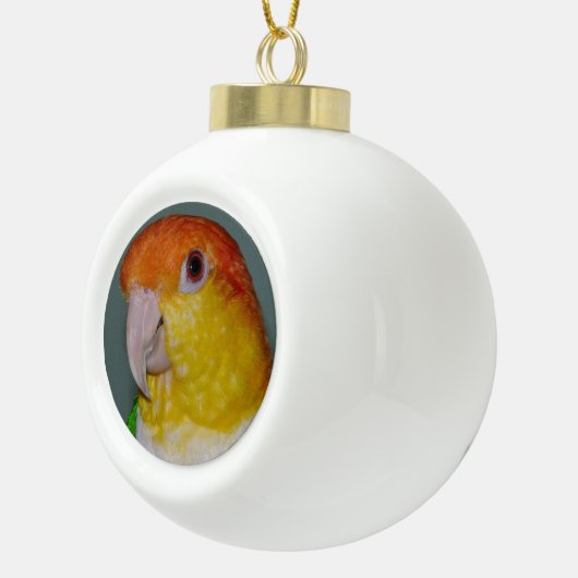 シロハラインコのオウムの陶磁器のクリスマスの球のオーナメント セラミックボールオーナメント (右)