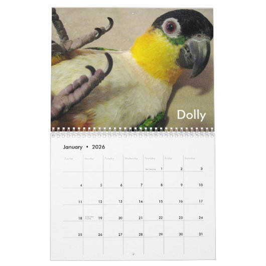 シロハラインコの熱狂するな2011カレンダー カレンダー (1月 2026)