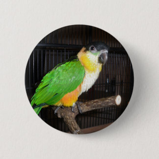 シロハラインコボタン 缶バッジ