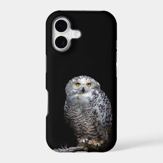 シロフクロウが電話に出ています!
