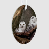 シロフクロウのペア 森の野生動物アート オーナメント (正面)