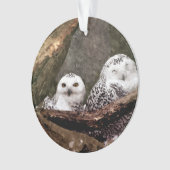 シロフクロウのペア 森の野生動物アート オーナメント (正面)