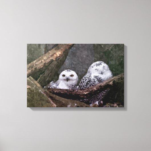 シロフクロウのペア 森の野生動物アート キャンバスプリント (正面)