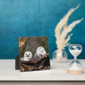シロフクロウのペア 森の野生動物アート フォトプラーク (インサイチュ)