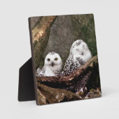 シロフクロウのペア 森の野生動物アート フォトプラーク (正面)
