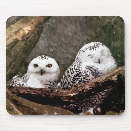 シロフクロウのペア 森の野生動物アート マウスパッド (正面)