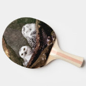 シロフクロウのペア 森の野生動物アート 卓球ラケット (横)