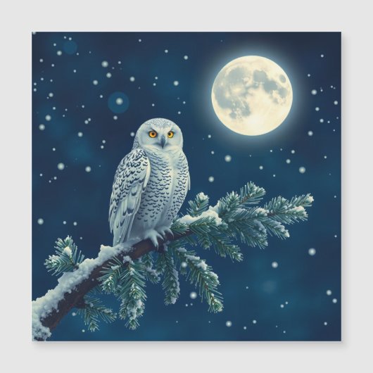 シロフクロウの楽しいクリスマスカード (正面)