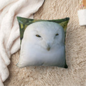 シロフクロウ クッション (ブランケット)