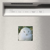 シロフクロウ マグネット (インサイチュ (食洗機))