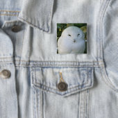 シロフクロウ 缶バッジ (インサイチュ)