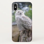 シロフクロウ Case-Mate iPhoneケース (裏面)