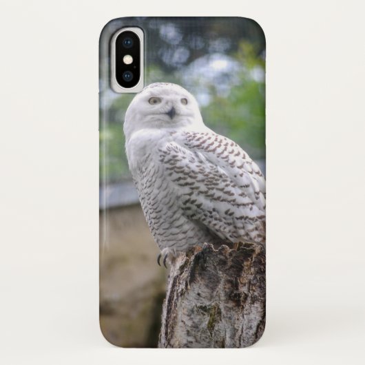 シロフクロウ Case-Mate iPhoneケース (裏面)