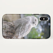 シロフクロウ... Case-Mate iPhoneケース (裏面(横))