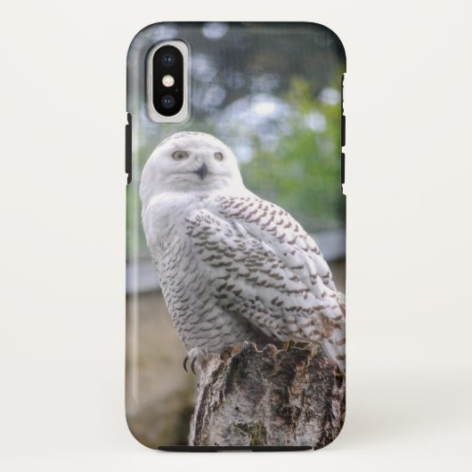 シロフクロウ... Case-Mate iPhoneケース (裏面)