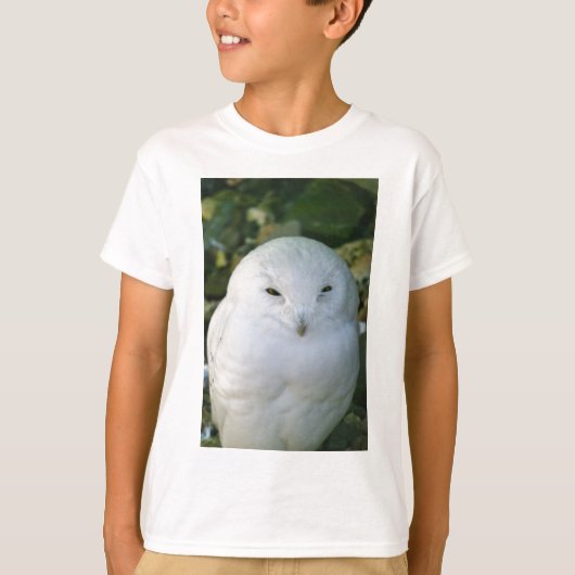 シロフクロウ Tシャツ (正面)
