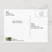 シローム春サガークリーク滝はがき ポストカード (裏面)