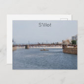 シロ ポストカード (正面/裏面)