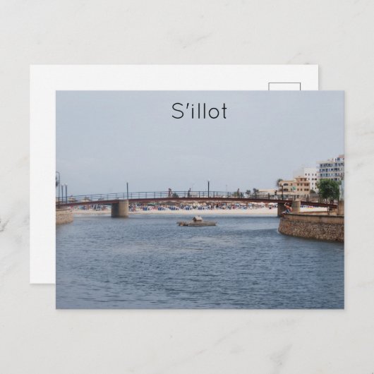 シロ ポストカード (正面/裏面)