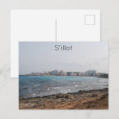 シロ ポストカード (正面/裏面)