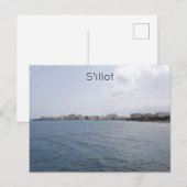 シロ ポストカード (正面/裏面)