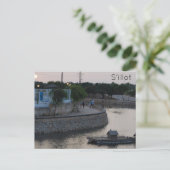 シロ ポストカード (スタンド正面)