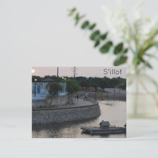 シロ ポストカード (スタンド正面)