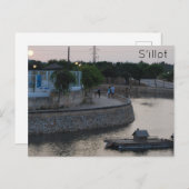 シロ ポストカード (正面/裏面)